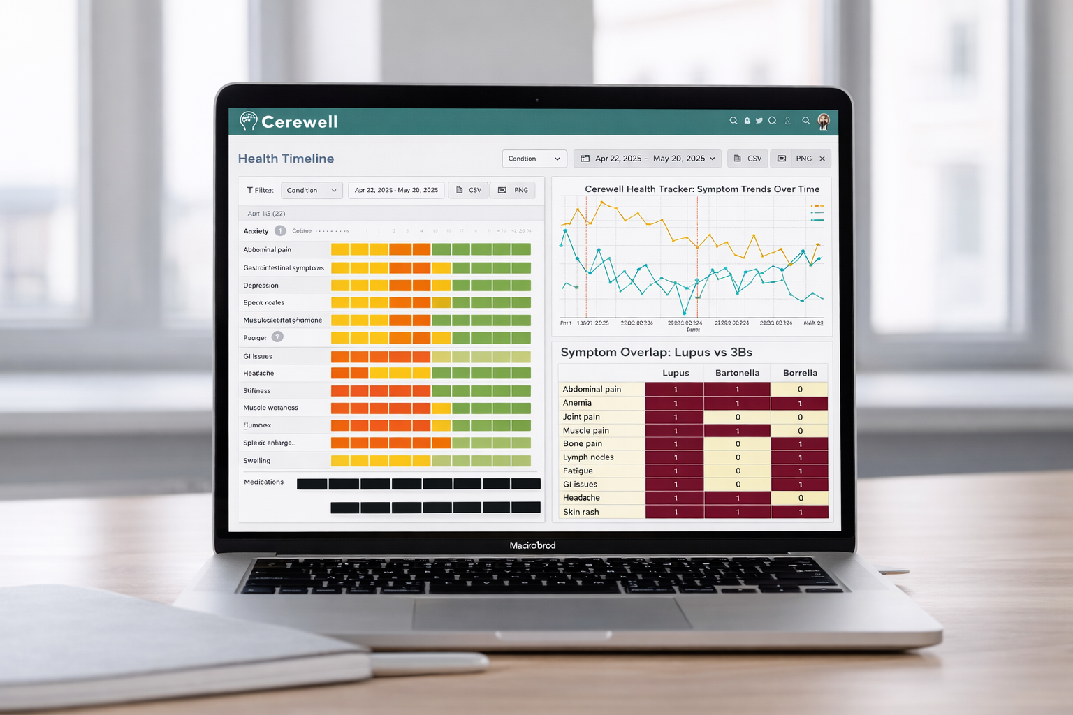 All-in-One Research Workflow